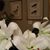 Marilyn Forman's profile image