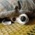 Sandy Hewitt's profile image
