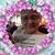 Barb Brasington's profile image