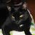 Bambina Lynn Griffin's profile image