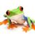 Tracey Cesar's profile image