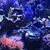 Amanda Marie's profile image