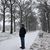 Amado Flores's profile image