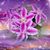 Anna Paderna's profile image