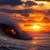 Donald Davis's profile image