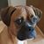 Gail Dickerson's profile image