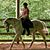 Cassie Cron Merrin's profile image