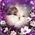 Chelle Sanson's profile image