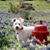 Patti Garrett Horton's profile image
