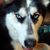 Tere Becker's profile image