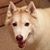 Charlene Gamage's profile image