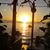 Terri Neff Dobbs's profile image