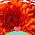 Kathy Dotson's profile image