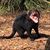 Gordon McCann's profile image