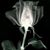 Mary O'Brien's profile image