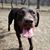 Jennifer Kay De Bruin's profile image