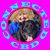Colleen Sheridan's profile image