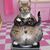 Renee Martin's profile image
