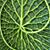 Kathy Geiger's profile image
