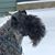 Deb Bednarek's profile image