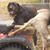 Jackey N Diane Jones's profile image