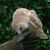 Trevor Evans's profile image