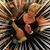 Ingrid Aadland Nadeau's profile image