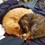 Jen Von Dietsch's profile image