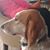 Mark E. Daspit's profile image