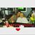 Ann Wilson's profile image