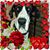 Sharon Atkinson's profile image