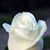 Victoria Overton's profile image