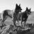 Tracy Lee Smith's profile image