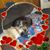 Lisa Lee's profile image
