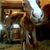 Tracy Wagner's profile image