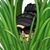 Monica Valdez Jones's profile image