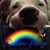 Carolyne Bucalo's profile image