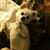 Teressa Roskowske Miller's profile image