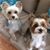 Sandra Schultz's profile image