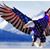 Scott Turner's profile image