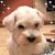 Judy Hunt's profile image