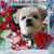Cindy Sue Laird's profile image