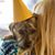 Dawn Royer's profile image