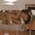 Gian Piero Sam Ferri's profile image