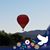 Janet Borrowman Howes's profile image