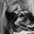 Amy Terry's profile image