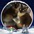 Tammy Sue Morris Gray's profile image