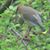 Dorine Harris's profile image