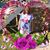 Kathy Amador's profile image