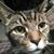Michael J. Rodriguez's profile image